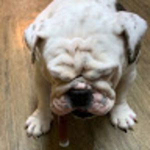 Meet your Posher, Dakota